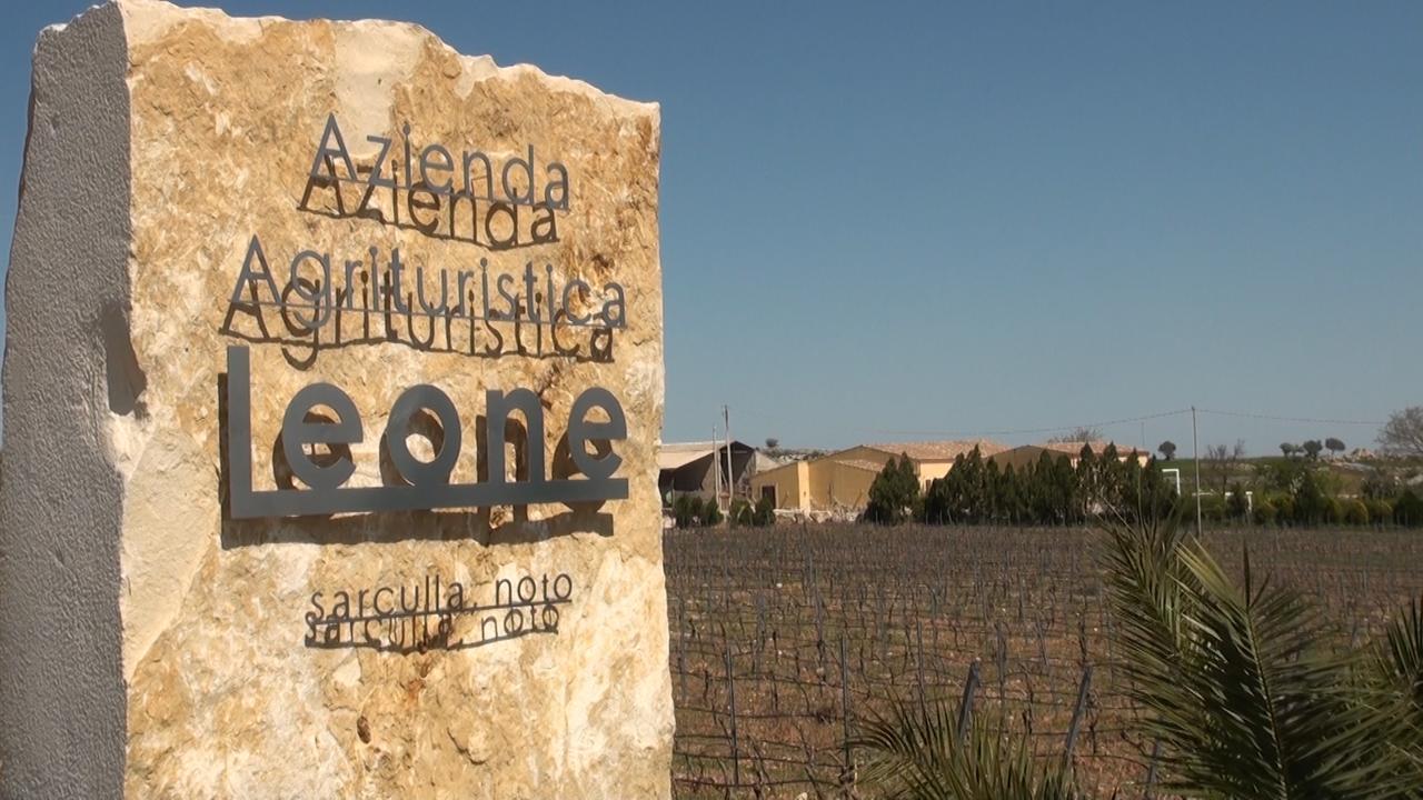 Вилла Agriturismo Leone Testa dell'Acqua Экстерьер фото